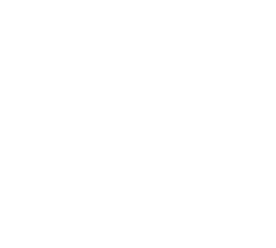 Sergio Guzmán | Arquitecto